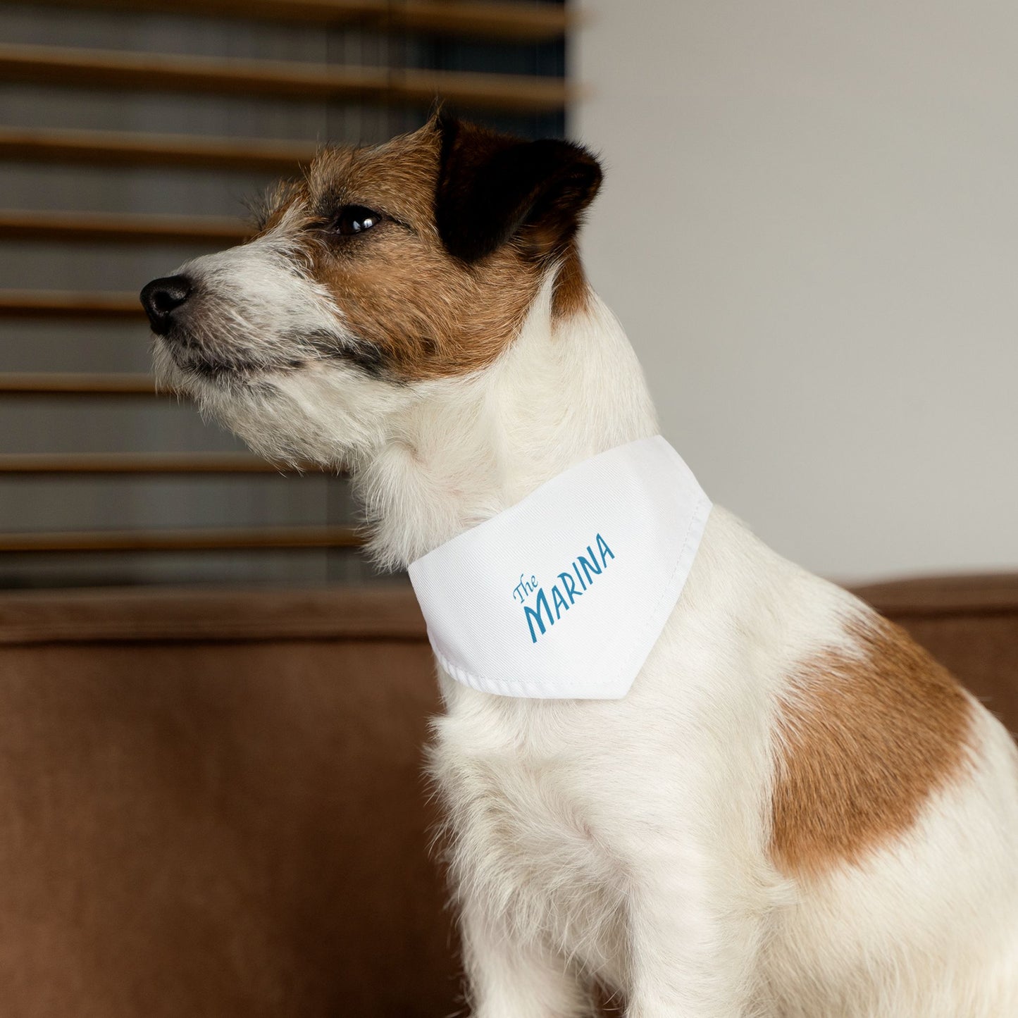 The Marina Pet Bandana Collar