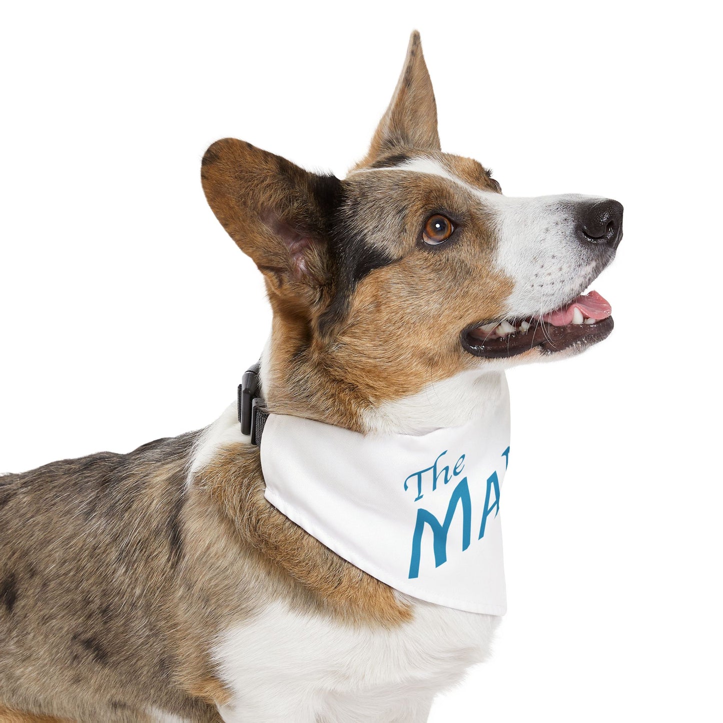 The Marina Pet Bandana Collar