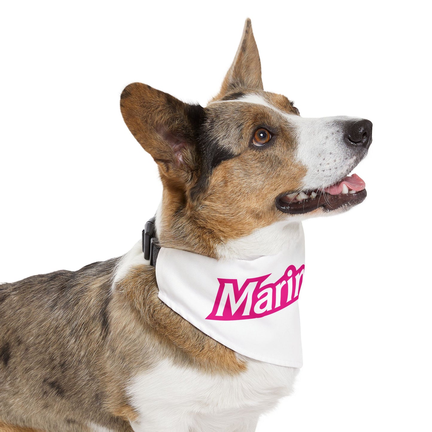 Marina Girl Pet Bandana Collar