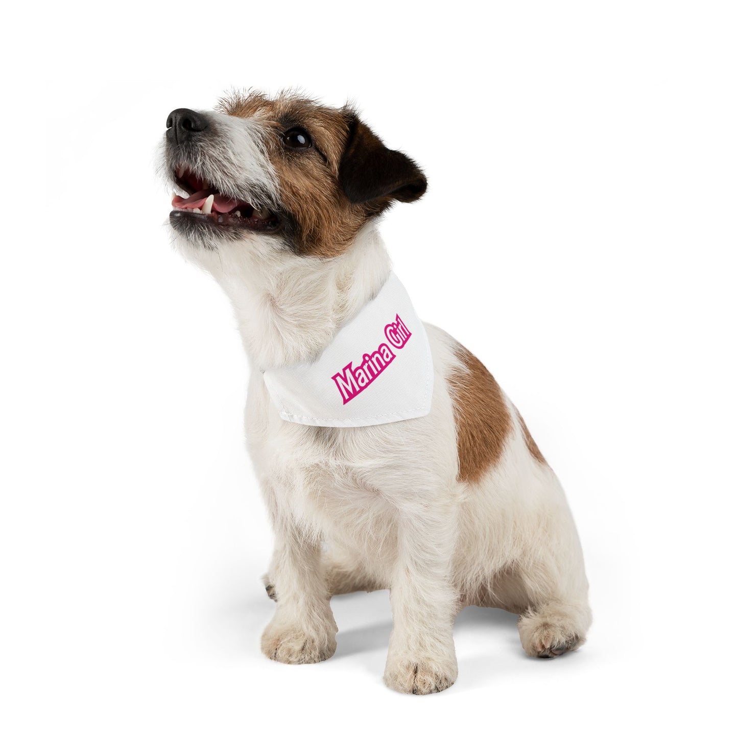 Marina Girl Pet Bandana Collar